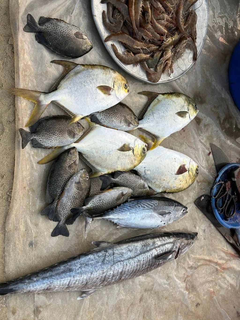 Morning on the beach of Mân Thái, Da Nang. - 4