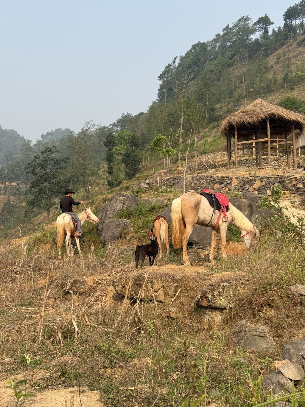 Have you ever tried riding a horse at the foot of the Lũng Cú Flagpole? - 4