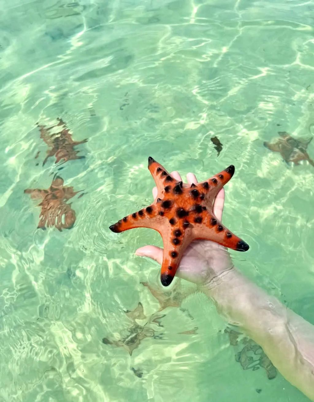 Vietnam has an island ranked among the most beautiful in Asia. - 1