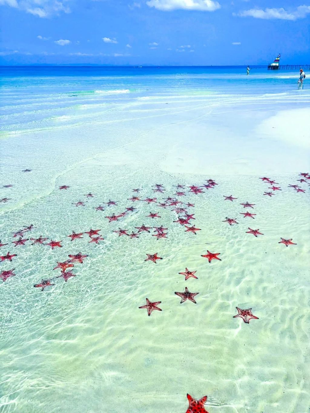 Vietnam has an island ranked among the most beautiful in Asia. - 4