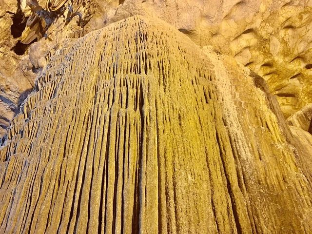 "The Golden Tree" In Ngườm Ngao Cave - 3