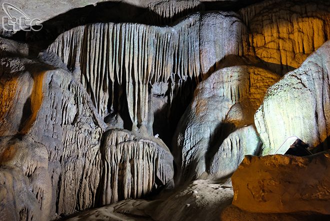"The Golden Tree" In Ngườm Ngao Cave - 4