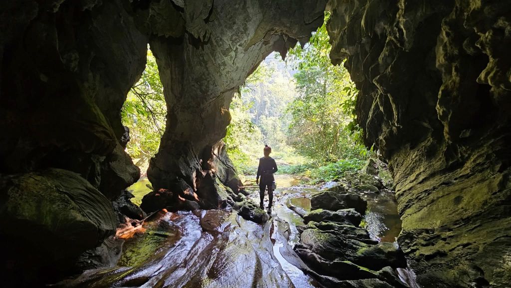 Phong Nha Kẻ Bàng에서 새로운 동굴 발견 - ảnh 9