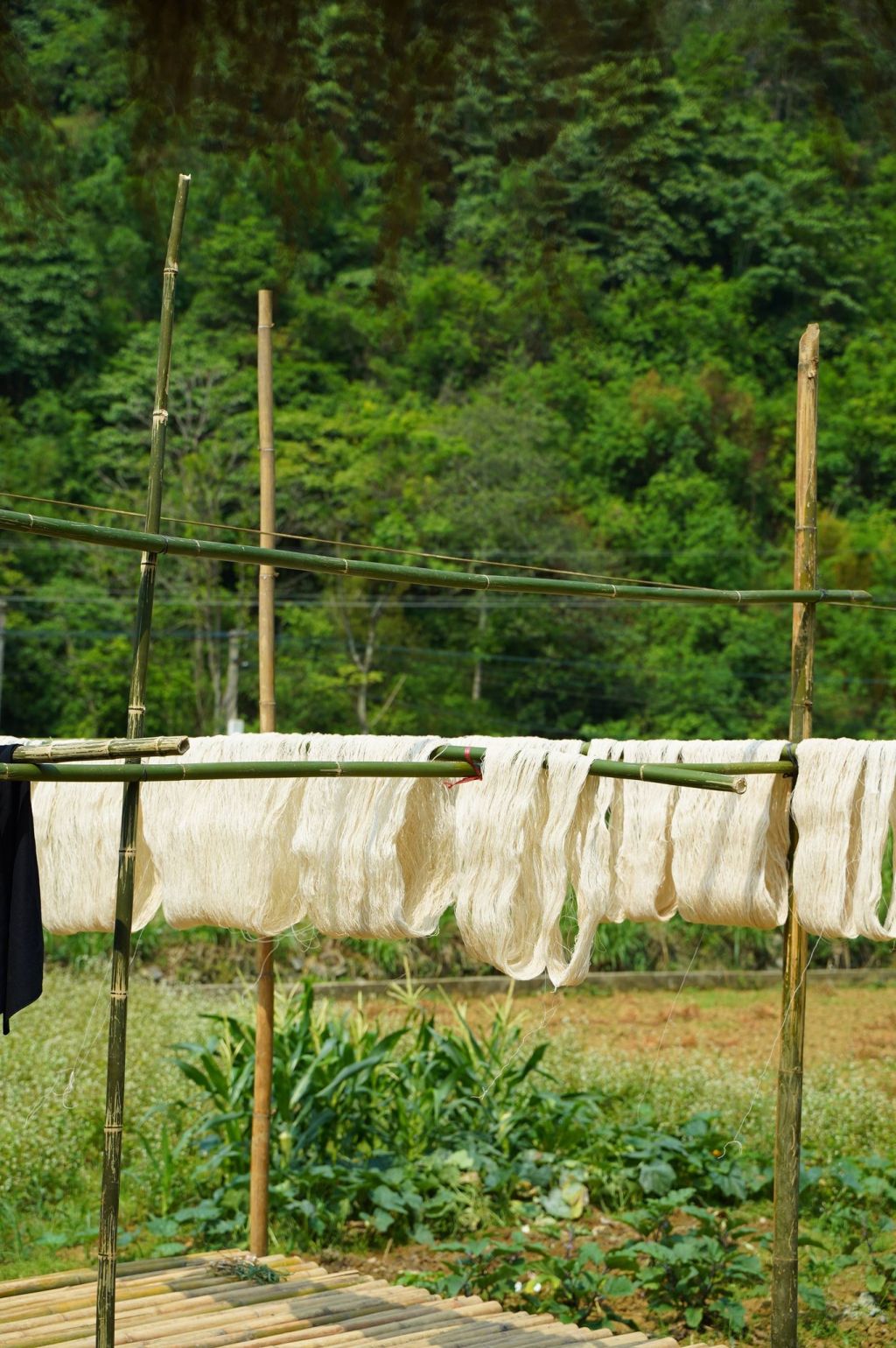 NÙNG INDIGO - Cultural space of the Nùng people in Cao Bằng - ảnh 4