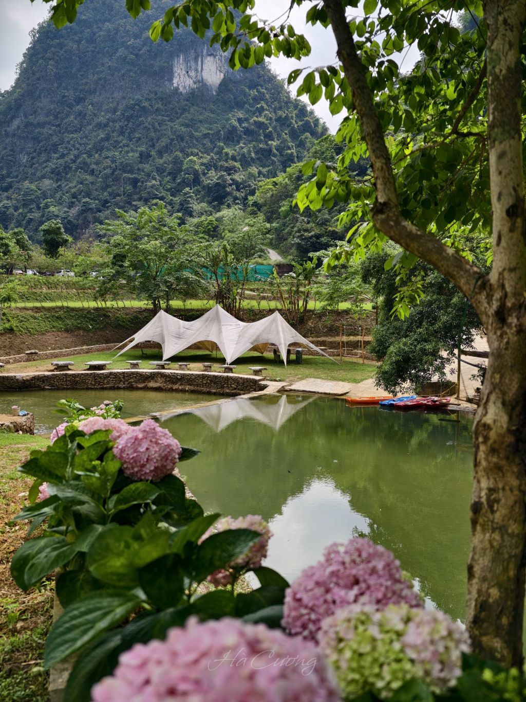 New hydrangea check-in spot in Cao Bang. - ảnh 1