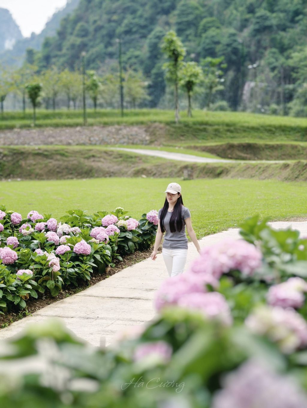 New hydrangea check-in spot in Cao Bang. - ảnh 3