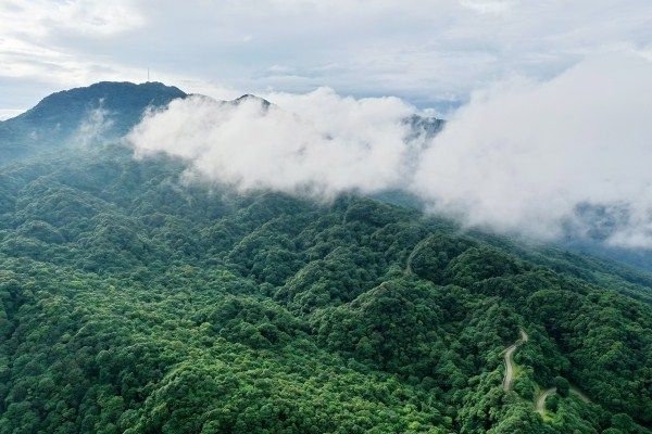 Phja Oắc – a cloud hunting spot in Cao Bằng. - 3