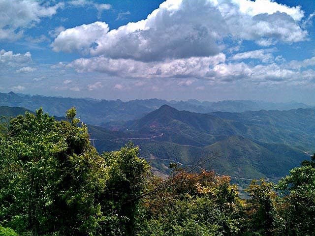 Phja Oắc Primeval Forest – a green treasure in the vast wilderness - 3