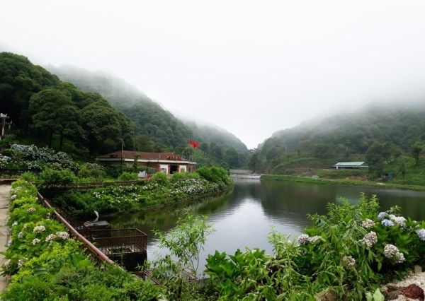Phja Oắc Primeval Forest – a green treasure in the vast wilderness - 4