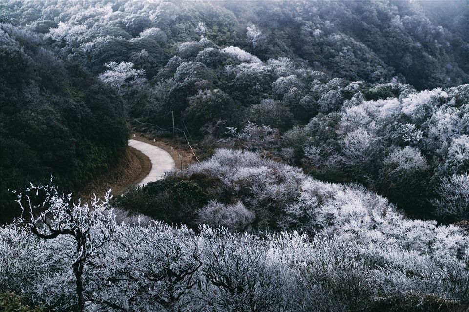 Phja Oắc Frost - 1
