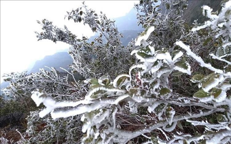Phja Oắc Frost - 3
