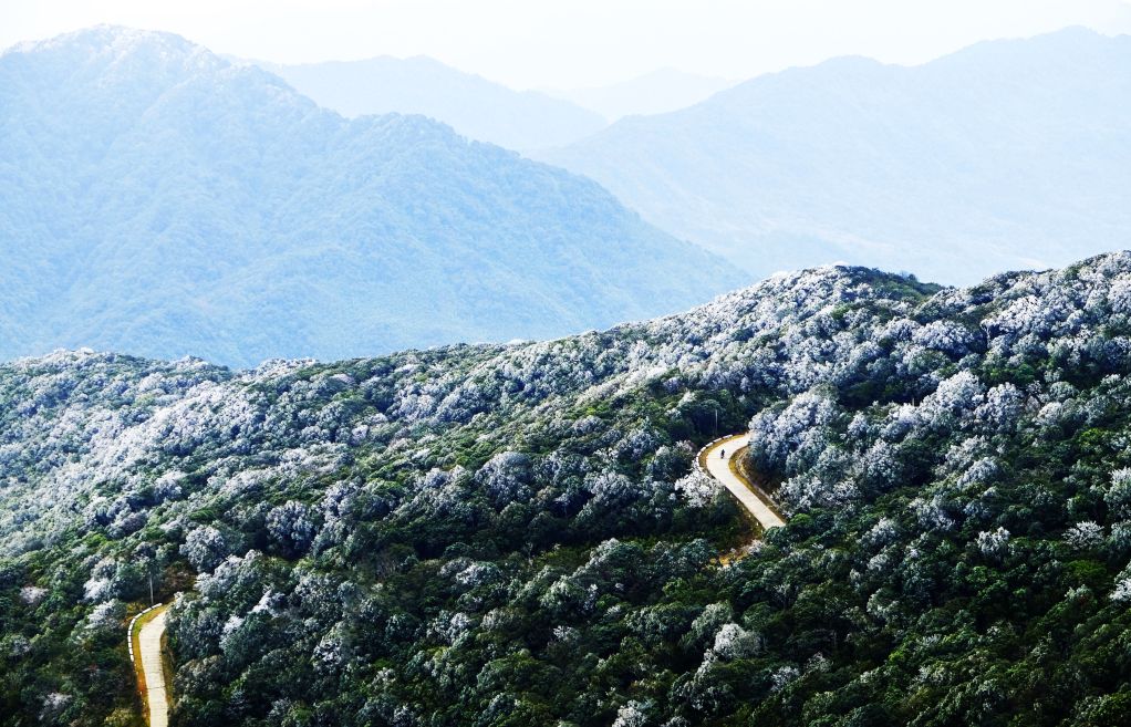 Travel experience in Phja Oắc - 1