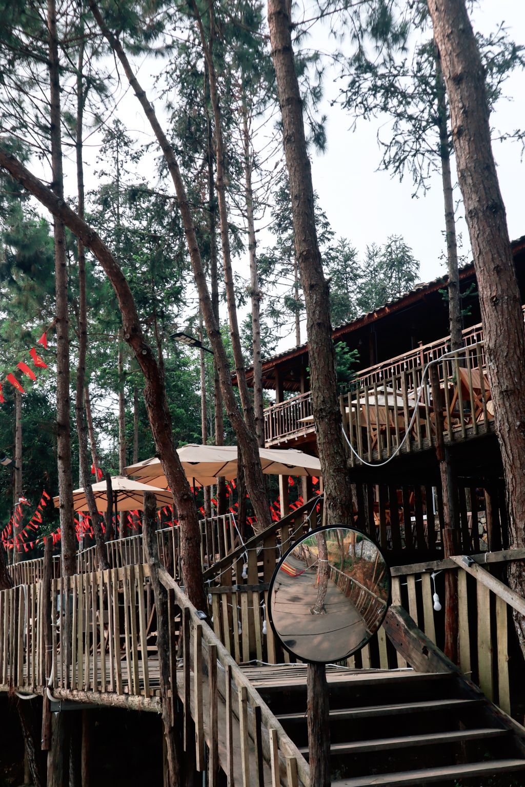 The wood - the reason that made me "stay a little longer" at Balana Ha Giang. - 3