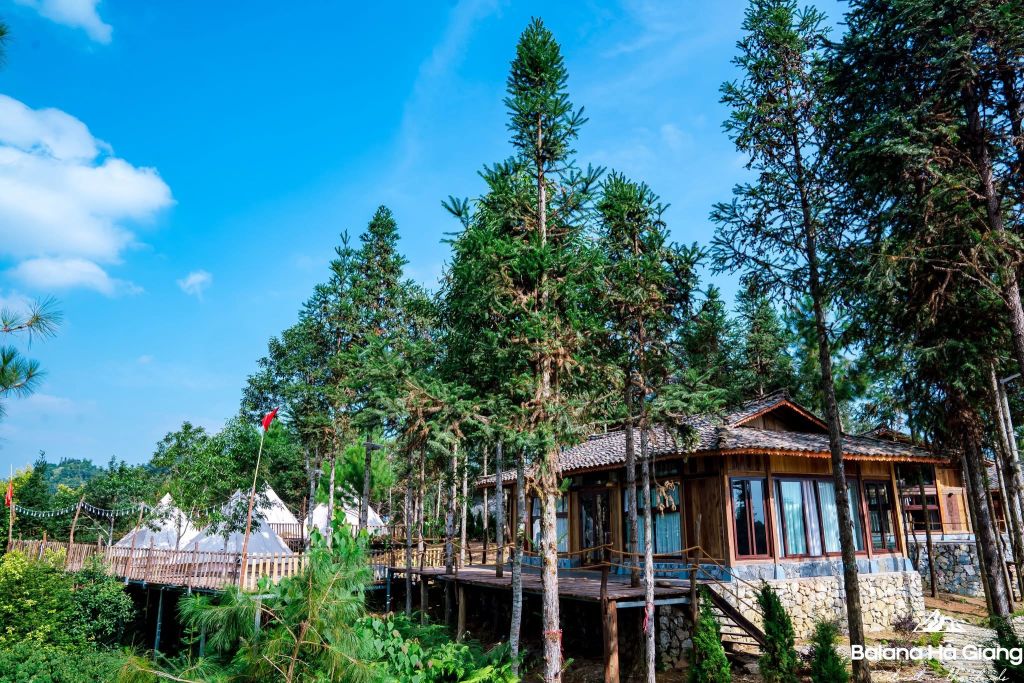 The wood - the reason that made me "stay a little longer" at Balana Ha Giang. - ảnh 6