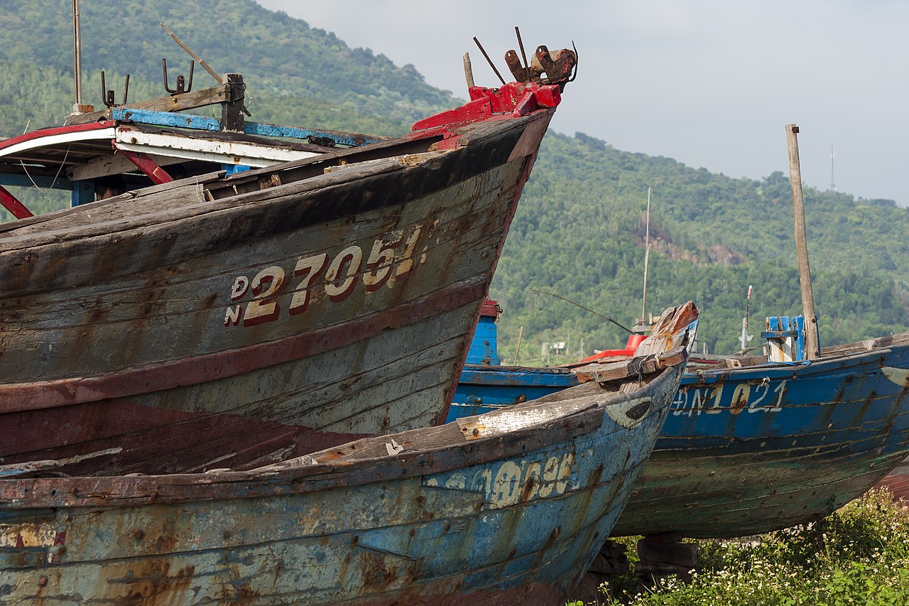 Mân Thái Fish Worship Festival – an authentic maritime culture in the heart of Da Nang. - 2
