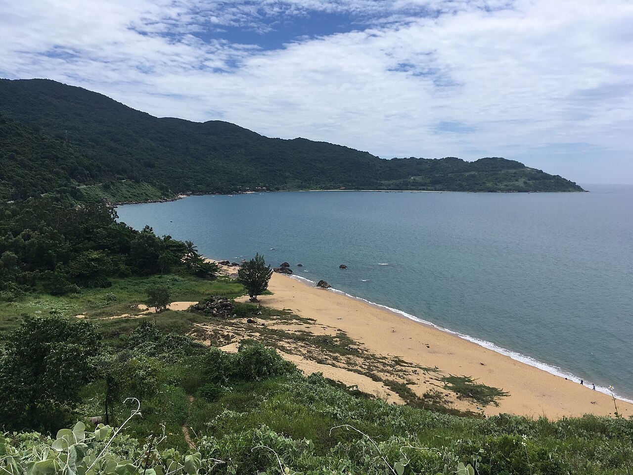 Mân Thái Fish Worship Festival – an authentic maritime culture in the heart of Da Nang. - ảnh 7