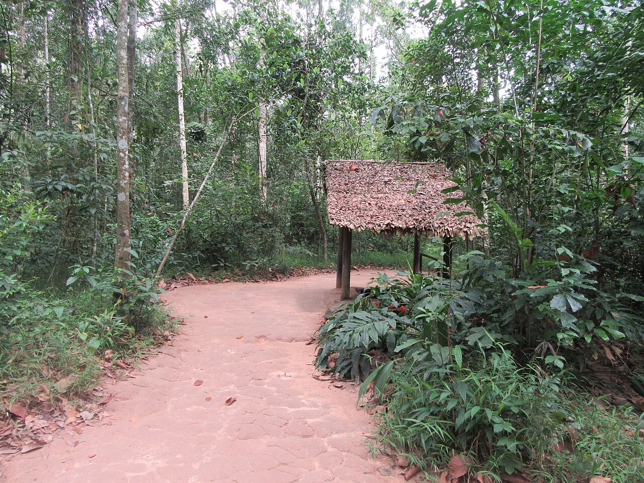 Cu Chi Tunnels — A day underground, emerging to see a bluer sky. - ảnh 8