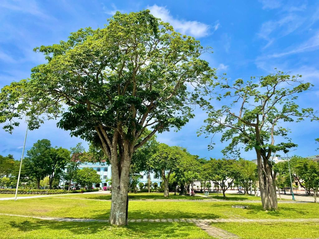 La Vang Sanctuary on May 1st - ảnh 5
