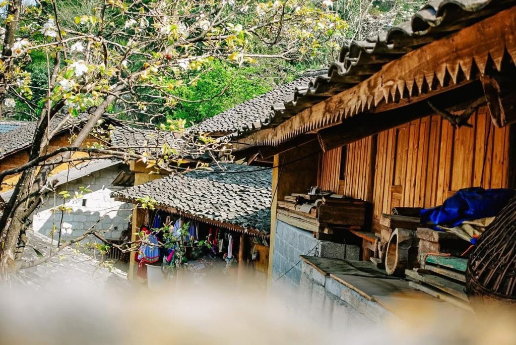 Lao Xa - 어느 오후, 나는 Sủng Là 계곡의 작은 마을에 빠져들었다. - ảnh 8