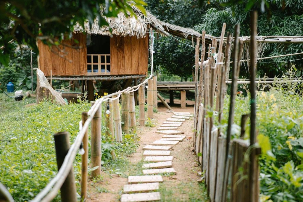 Are you ready to set aside the noise and join Dương to listen to the sounds of Ta Lư in the vast wilderness? - ảnh 18