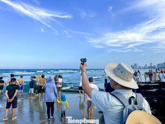 Tourists enjoy watching fishermen catch fish in Da Nang's sea. 🐠🐟🌊 - ảnh 4
