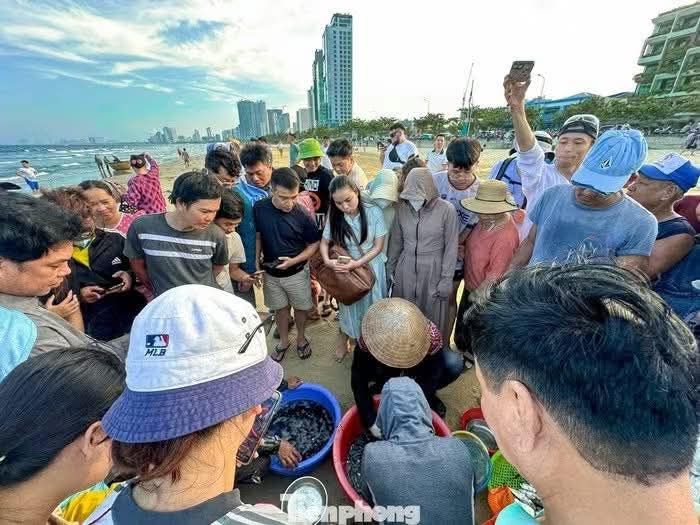 Tourists enjoy watching fishermen catch fish in Da Nang's sea. 🐠🐟🌊 - ảnh 7