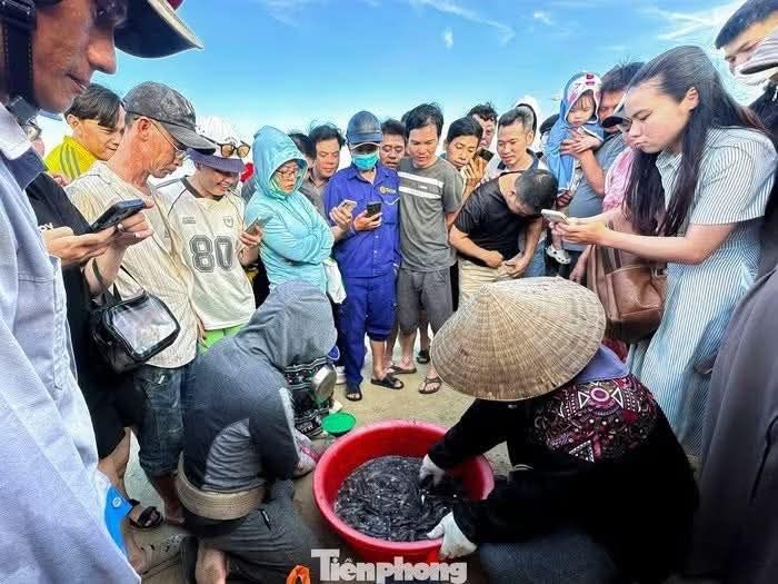 Tourists enjoy watching fishermen catch fish in Da Nang's sea. 🐠🐟🌊 - ảnh 8