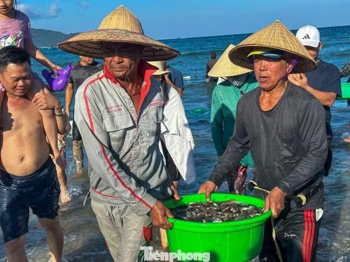Tourists enjoy watching fishermen catch fish in Da Nang's sea. 🐠🐟🌊 - ảnh 9