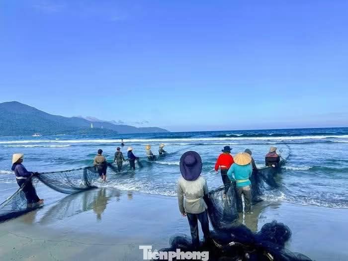 Tourists enjoy watching fishermen catch fish in Da Nang's sea. 🐠🐟🌊 - ảnh 11