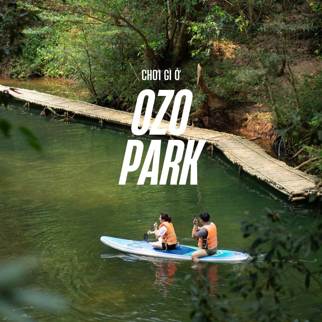 Ozo Park – Challenge Yourself Amidst the Great Heritage Forest - 1