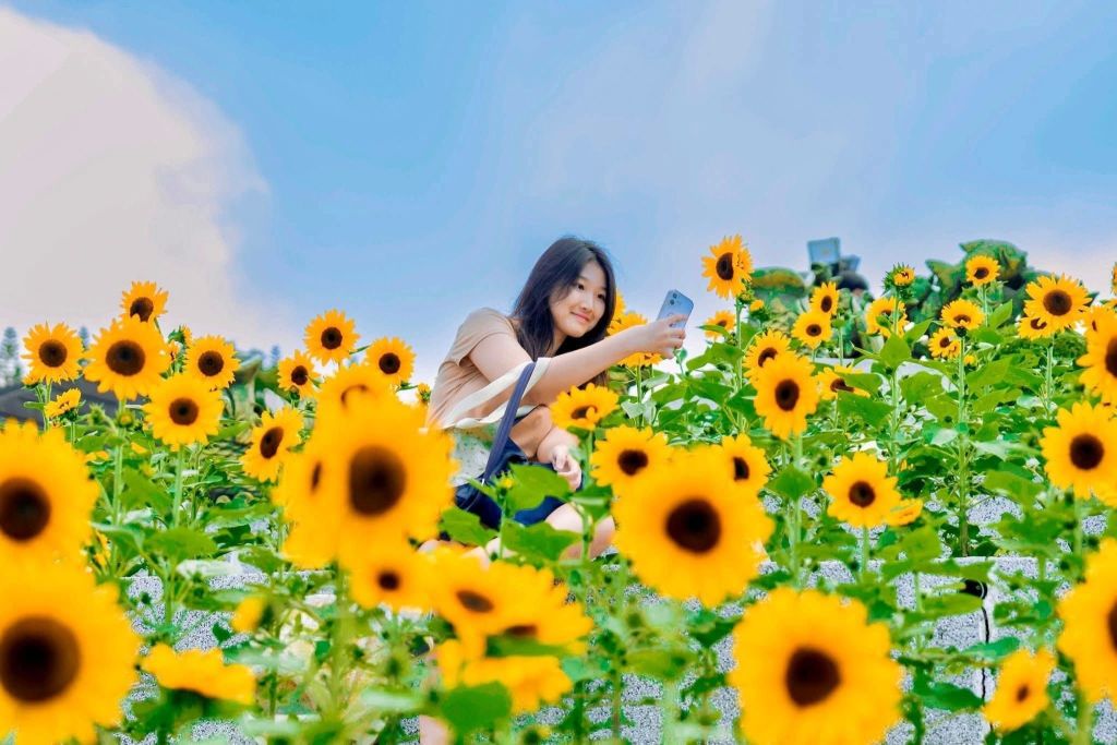 Schedule your trip to Ba Na while the flowers are still in full bloom, because the sunflower season… doesn’t wait for anyone! - ảnh 5