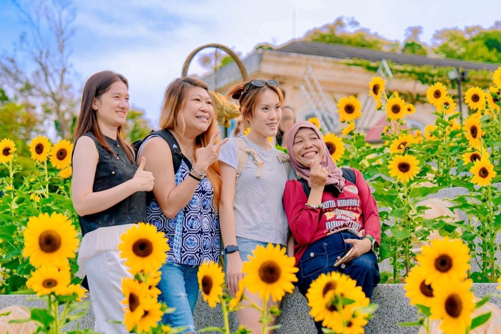 Schedule your trip to Ba Na while the flowers are still in full bloom, because the sunflower season… doesn’t wait for anyone! - 4