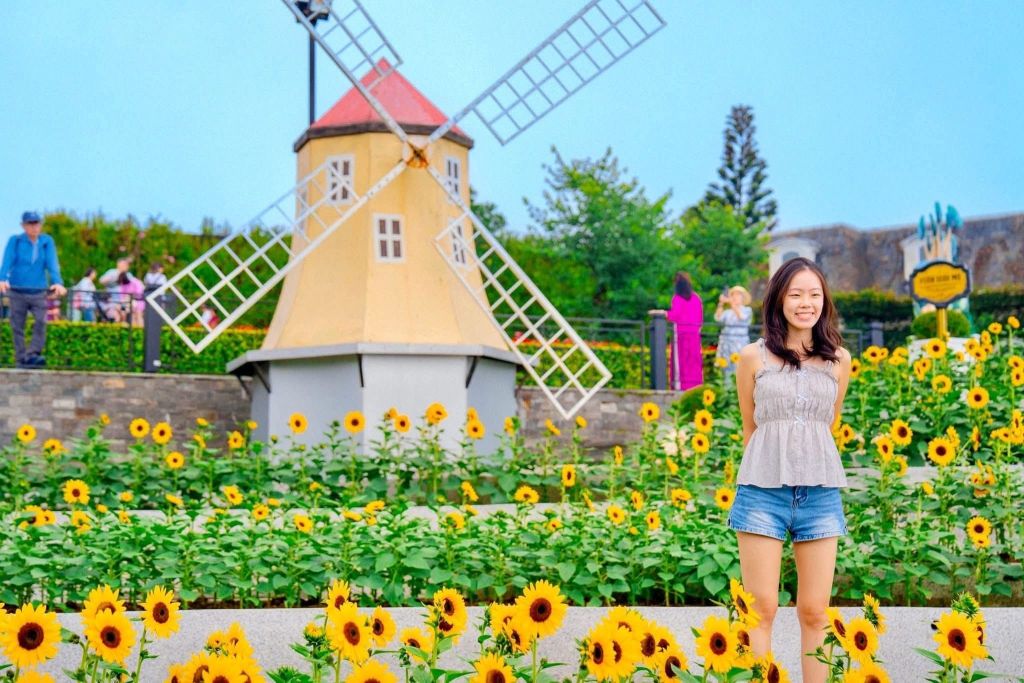 Schedule your trip to Ba Na while the flowers are still in full bloom, because the sunflower season… doesn’t wait for anyone! - ảnh 8