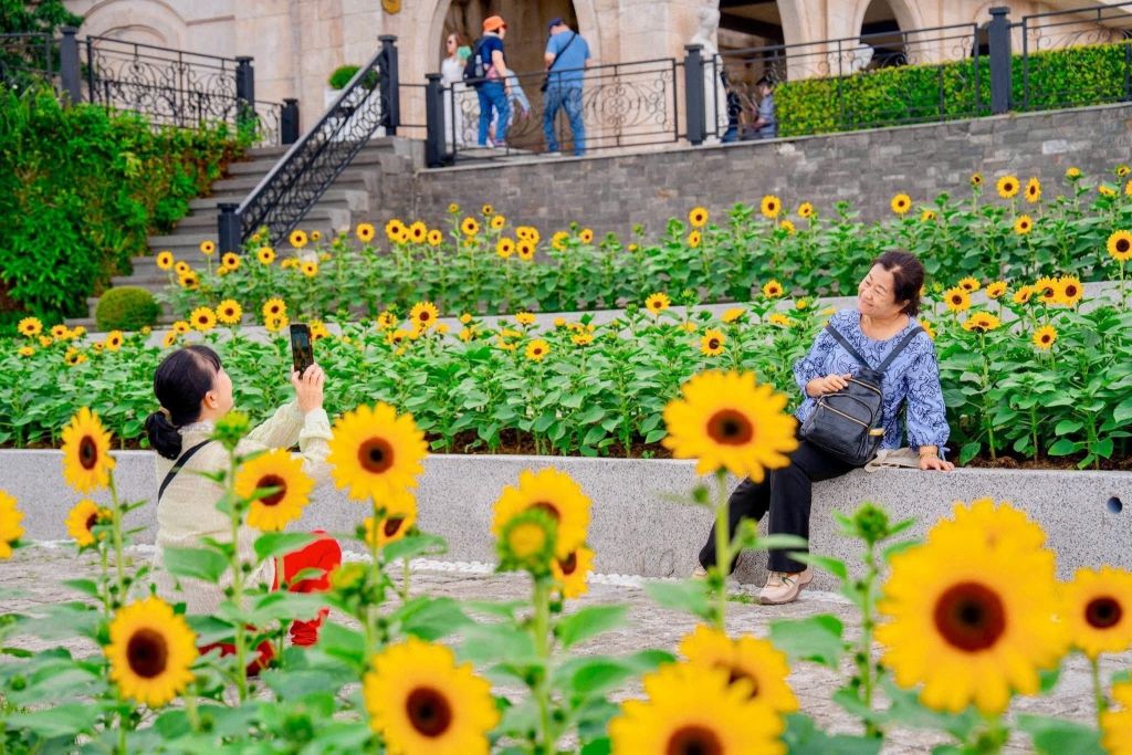 Schedule your trip to Ba Na while the flowers are still in full bloom, because the sunflower season… doesn’t wait for anyone! - ảnh 9