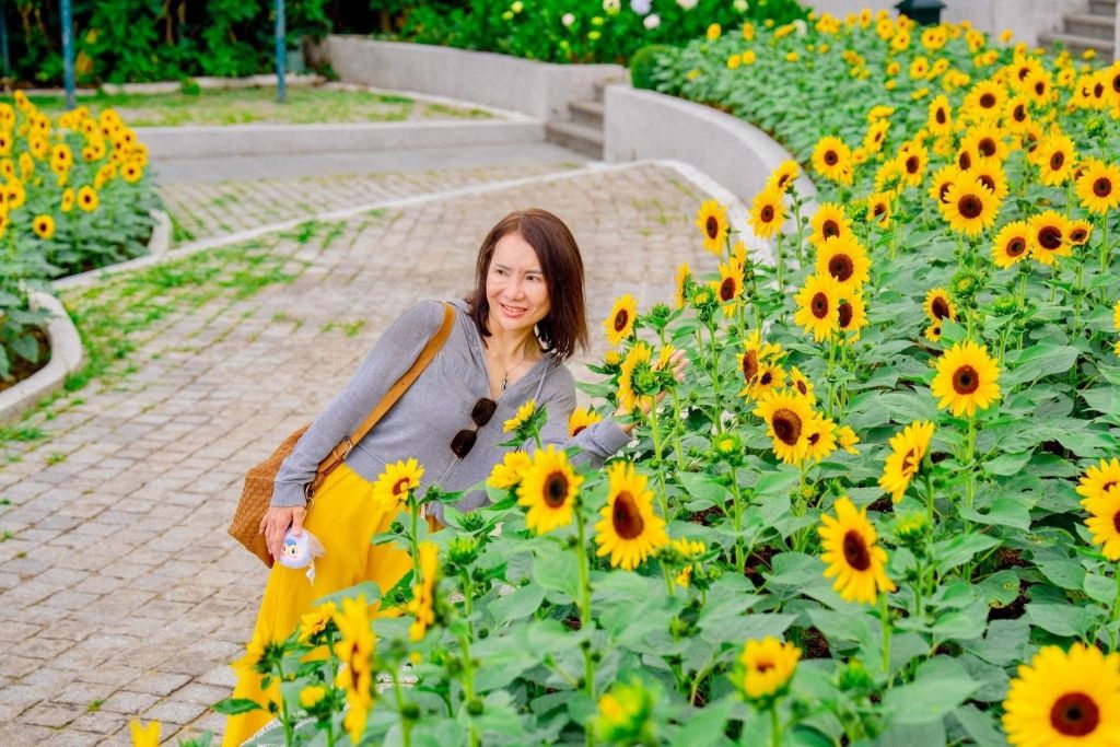 Schedule your trip to Ba Na while the flowers are still in full bloom, because the sunflower season… doesn’t wait for anyone! - ảnh 10