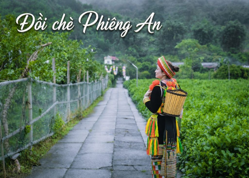New check-in coordinates - Phieng An tea hill, Bac Kan: Directions and experiences