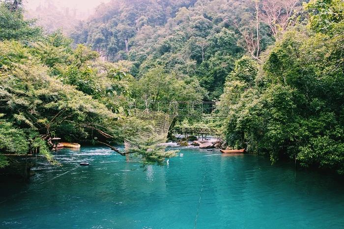 MOỌC SPRING – THE “GREEN GEM” IN PHONG NHA FOREST - ảnh 6