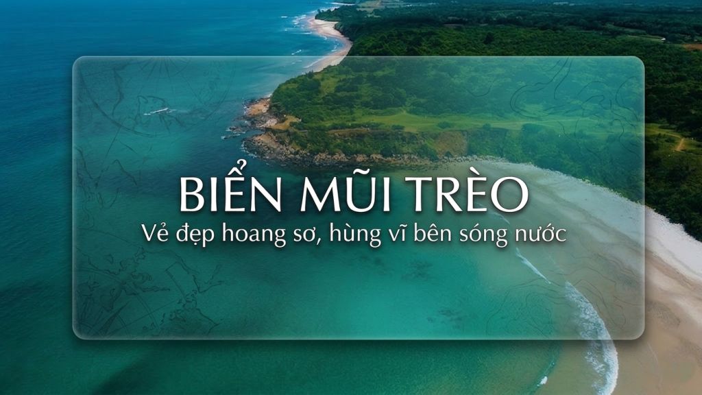 Quang Tri Has a "Living Stone Wall" So Beautiful That Few People Believe It Exists - 1