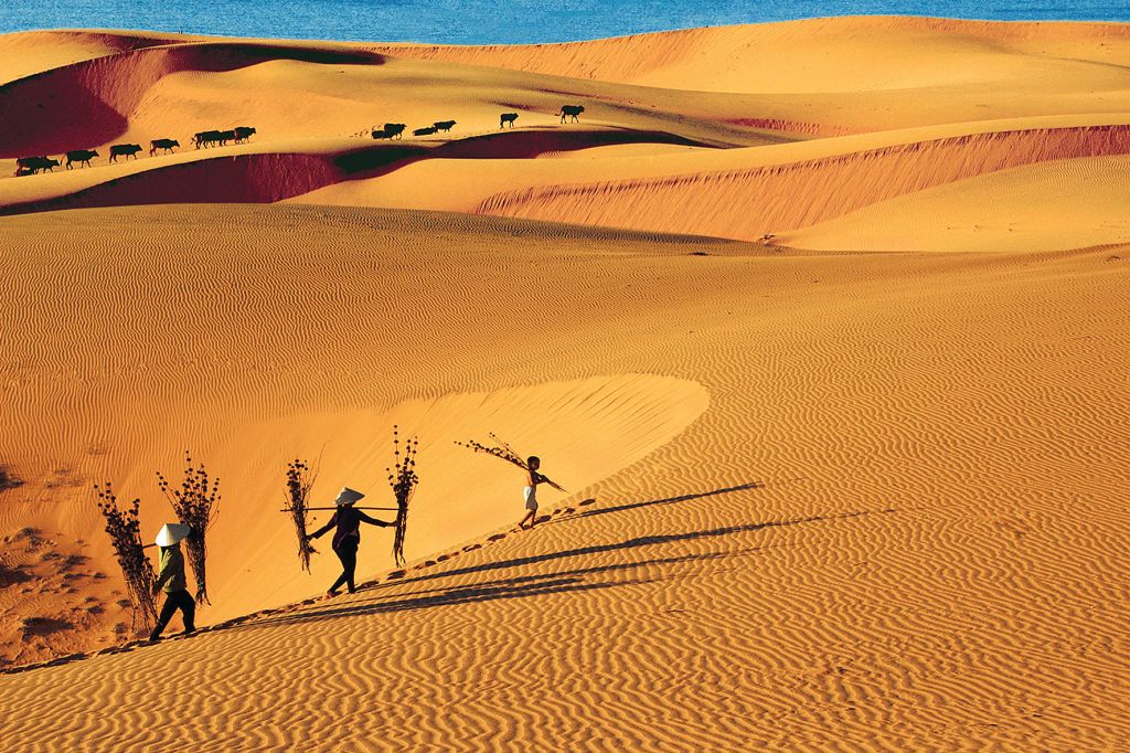Quang Tri Not Only Has Beaches... But Also a Beautiful Sand Dune That Is Quite Surprising - 3