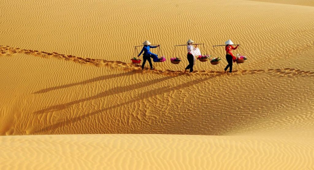 Quang Tri Not Only Has Beaches... But Also a Beautiful Sand Dune That Is Quite Surprising - 4