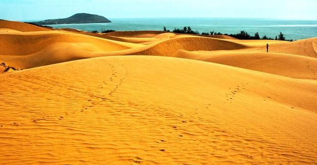 Quang Tri Not Only Has Beaches... But Also a Beautiful Sand Dune That Is Quite Surprising - ảnh 5