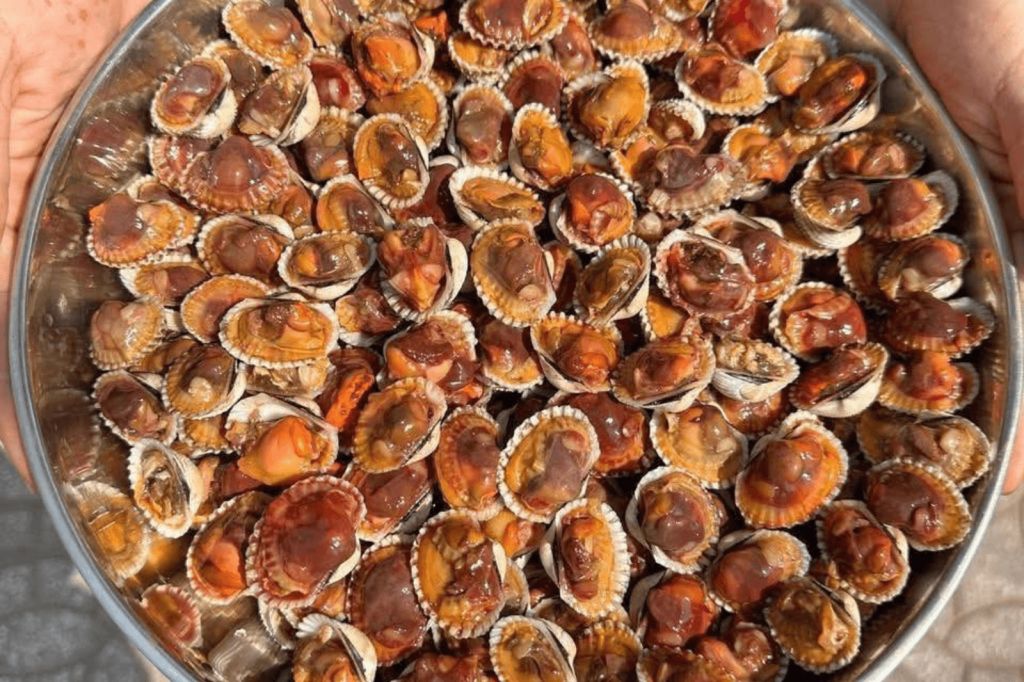 Blood of the Roòn River: What's Causing All the Crowds at Restaurants Every Weekend? - 4