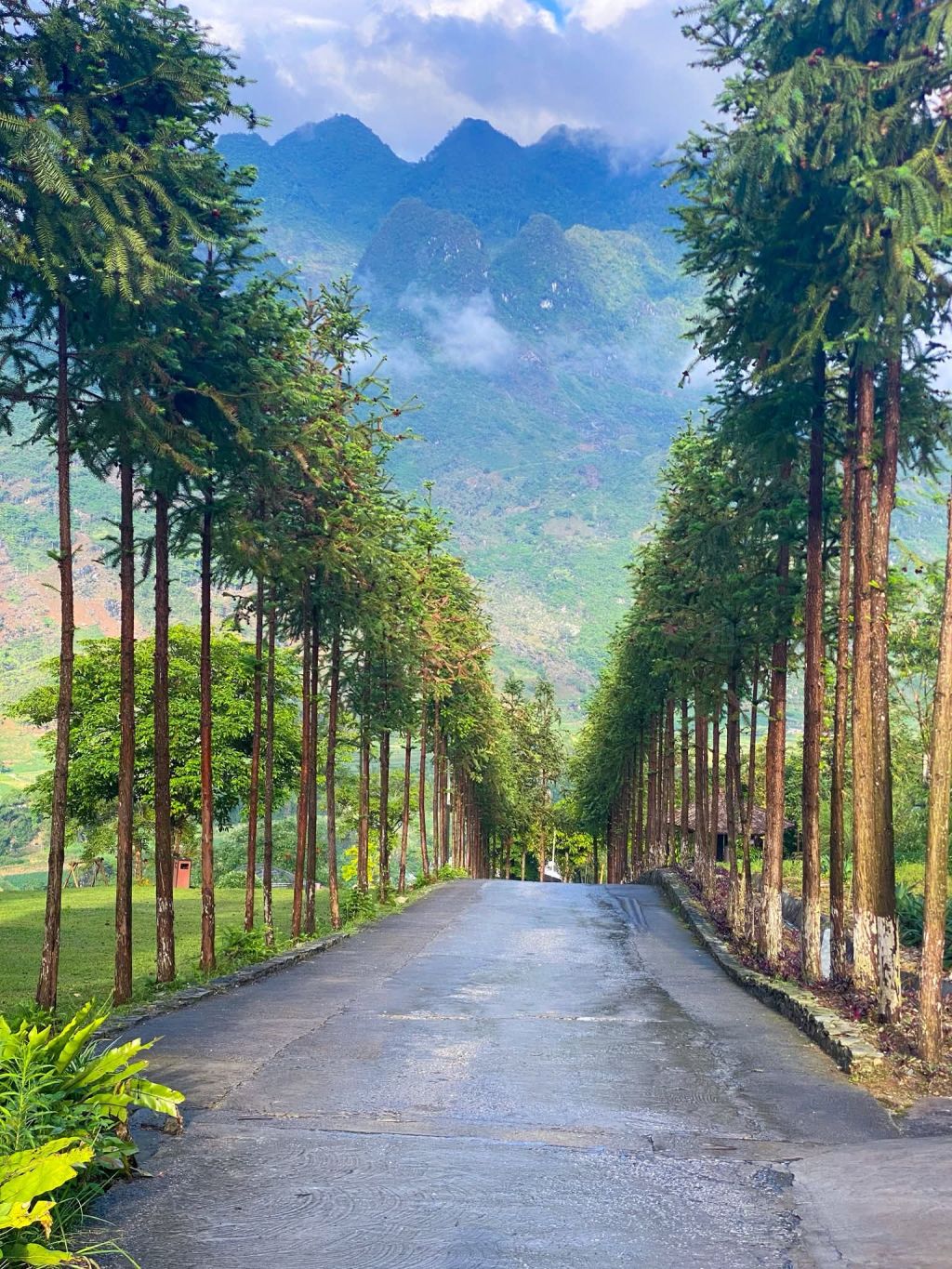 Hà Giang This season is like - 1