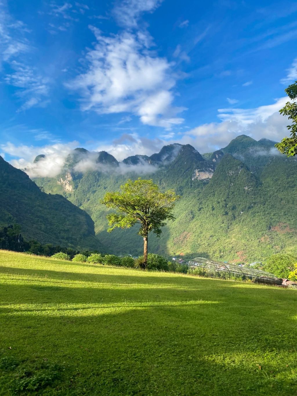Hà Giang This season is like - 2