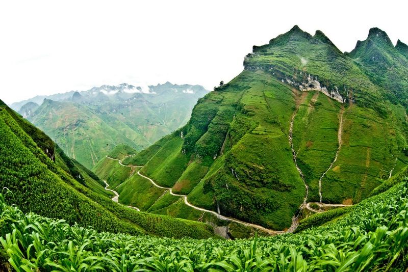 Mã Pì Lèng - where the roads touch the clouds of Ha Giang. - 3