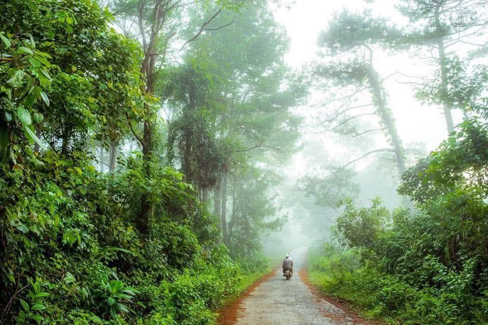 THE PEOPLE WHO LOVE KHE SANH - ảnh 5