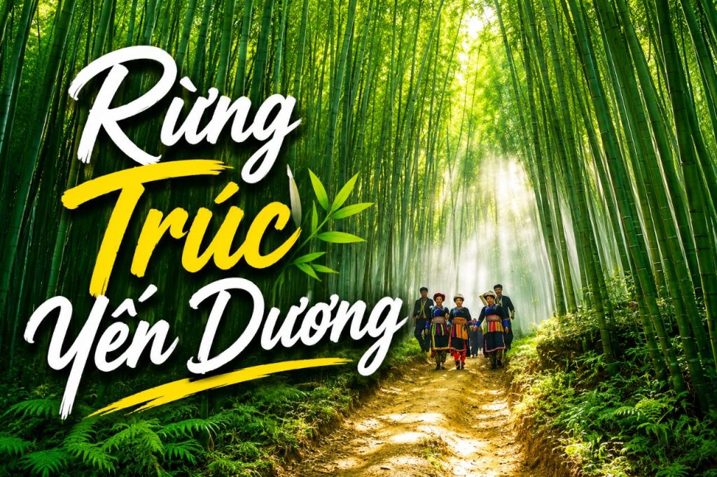 Yen Duong Bamboo Forest – A Secret Green Corner That Seasoned Travelers Are Reluctant To Share With You.