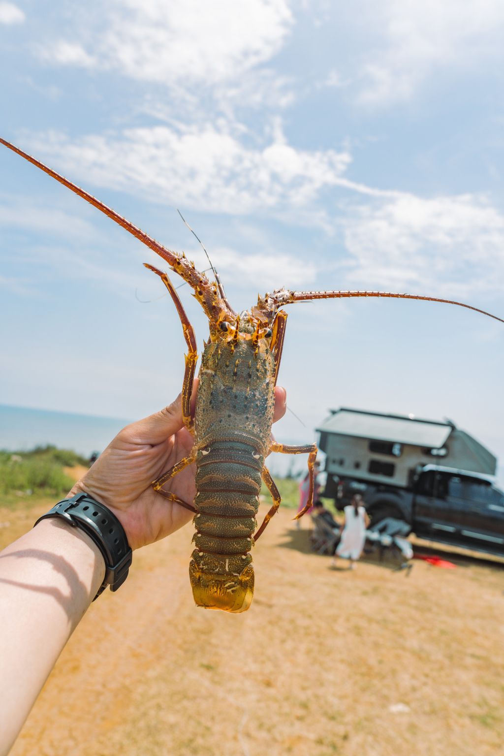 Experience Lobster Hunting at Mui Lay - Quang Tri. - 3