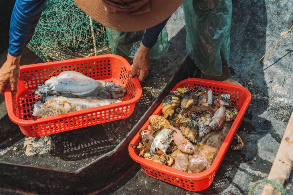 Experience Lobster Hunting at Mui Lay - Quang Tri. - ảnh 7