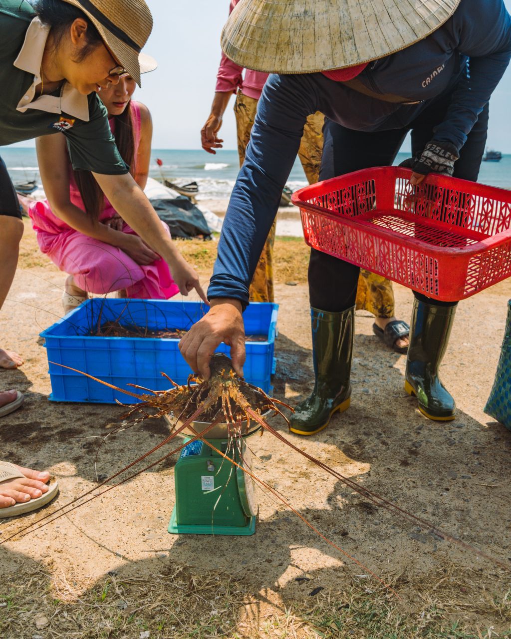 Experience Lobster Hunting at Mui Lay - Quang Tri. - ảnh 10
